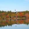 Fall on the Mira River